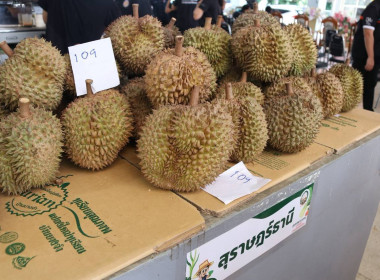 “รมช.เกษตร” ปักหมุดตลาดเกษตรกรเชียงราย หนุนบริโภคผลไม้ไทย ... พารามิเตอร์รูปภาพ 75
